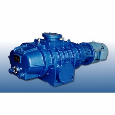 roots vacuum pump